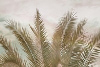 Dreamy Caribbean Palms 2 behang