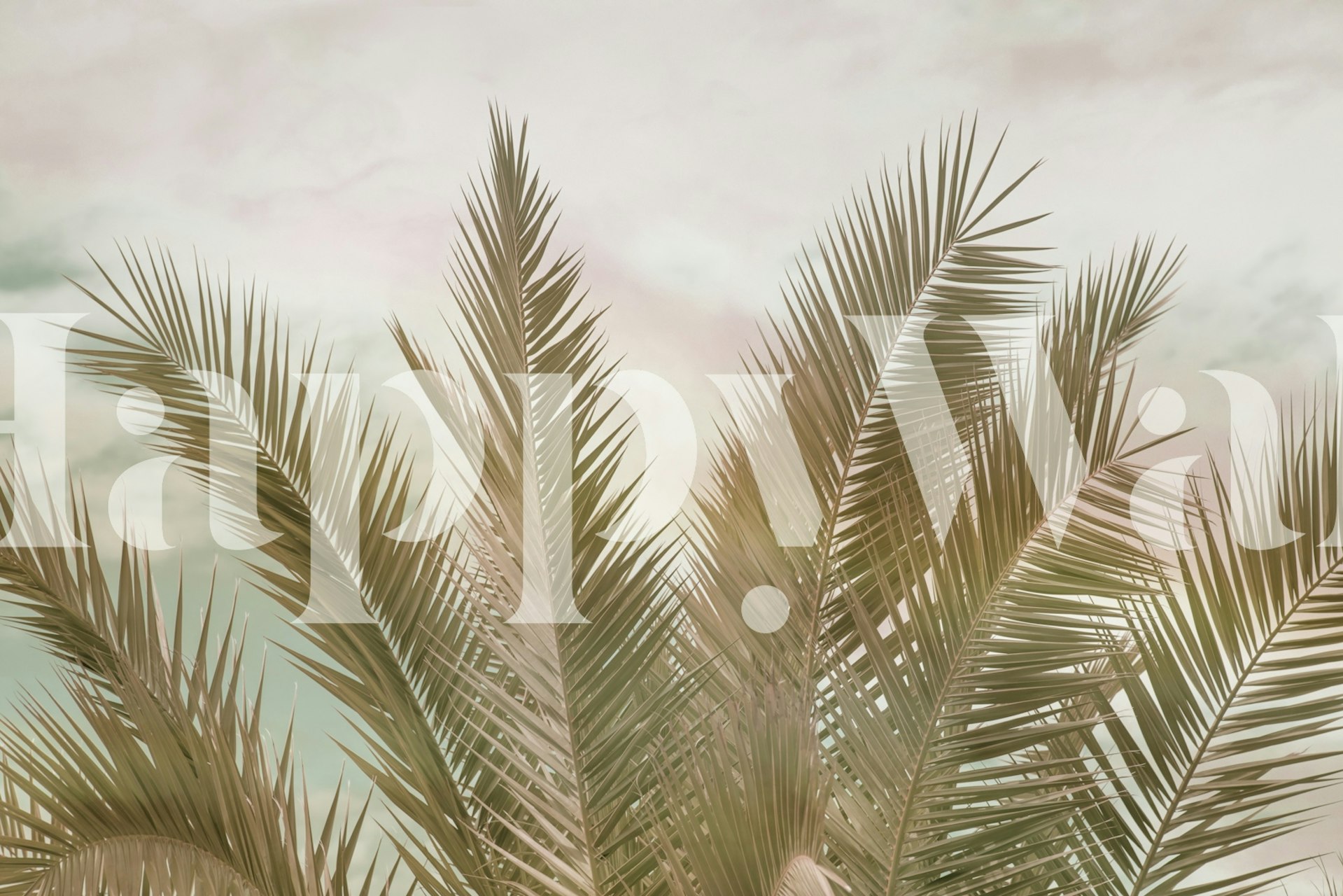 Tapeta Dreamy Caribbean Palms v místnosti