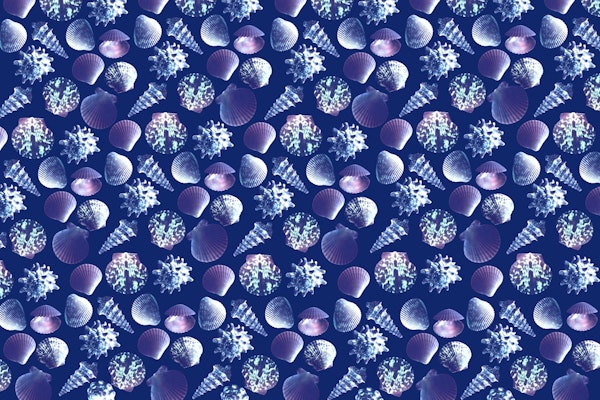 Underwater Seashell Dream 1