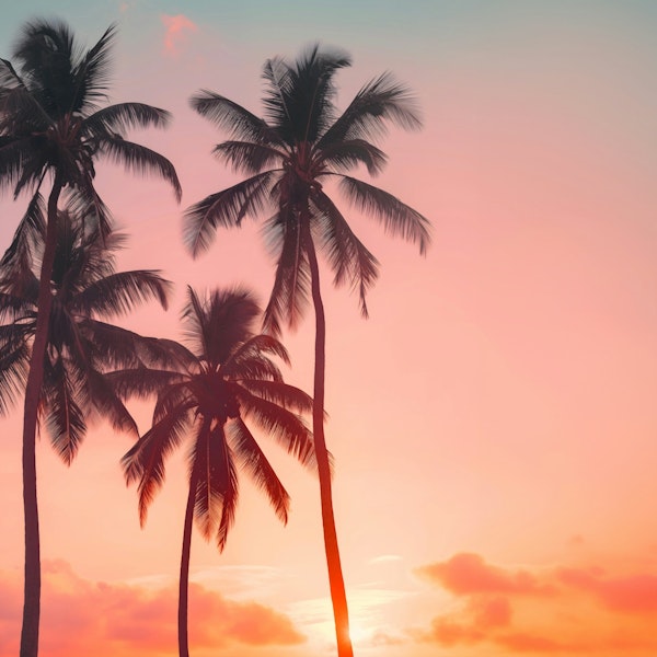 Palms on Sunset