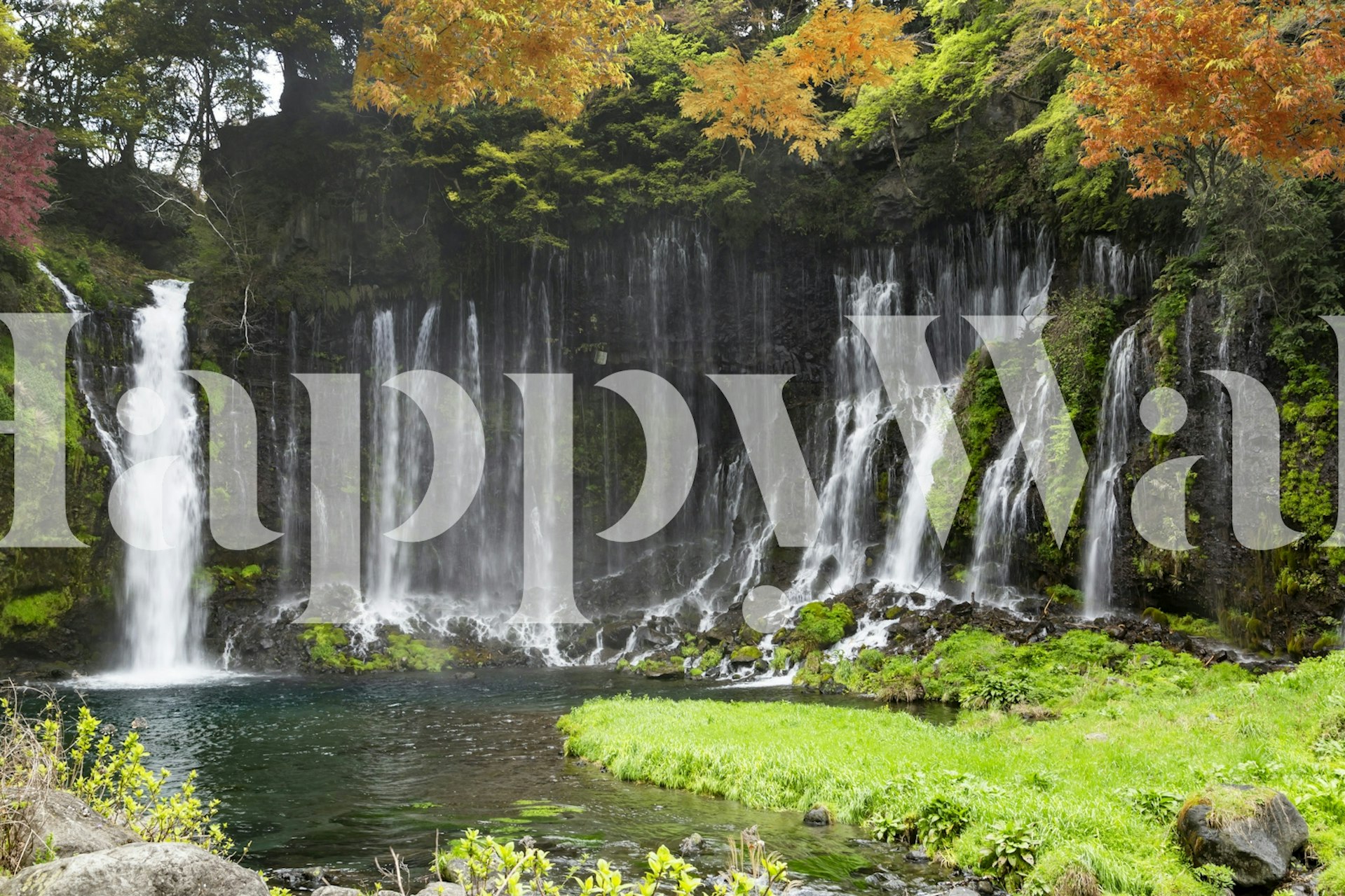 Waterfall surrounded by autumn foliage, lush greens, and rocky terrain wallpaper