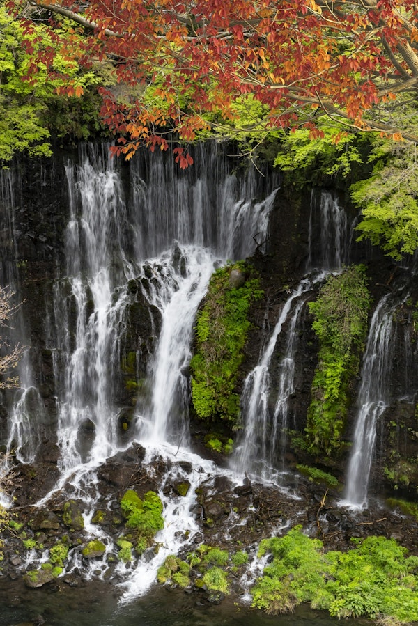 Shiraito waterfall in autumn