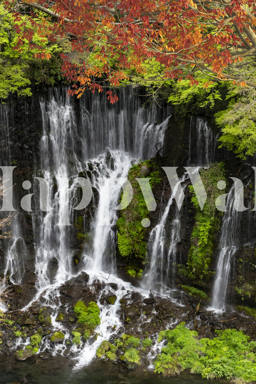 Shiraito waterfall wallpaper i et rum