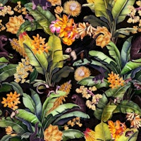 Vintage Midnight Monkey Tropical Rainforest ταπετσαρία