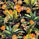 Vintage Midnight Monkey Tropical Rainforest