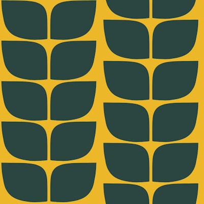 Mønster