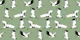 Green Birds