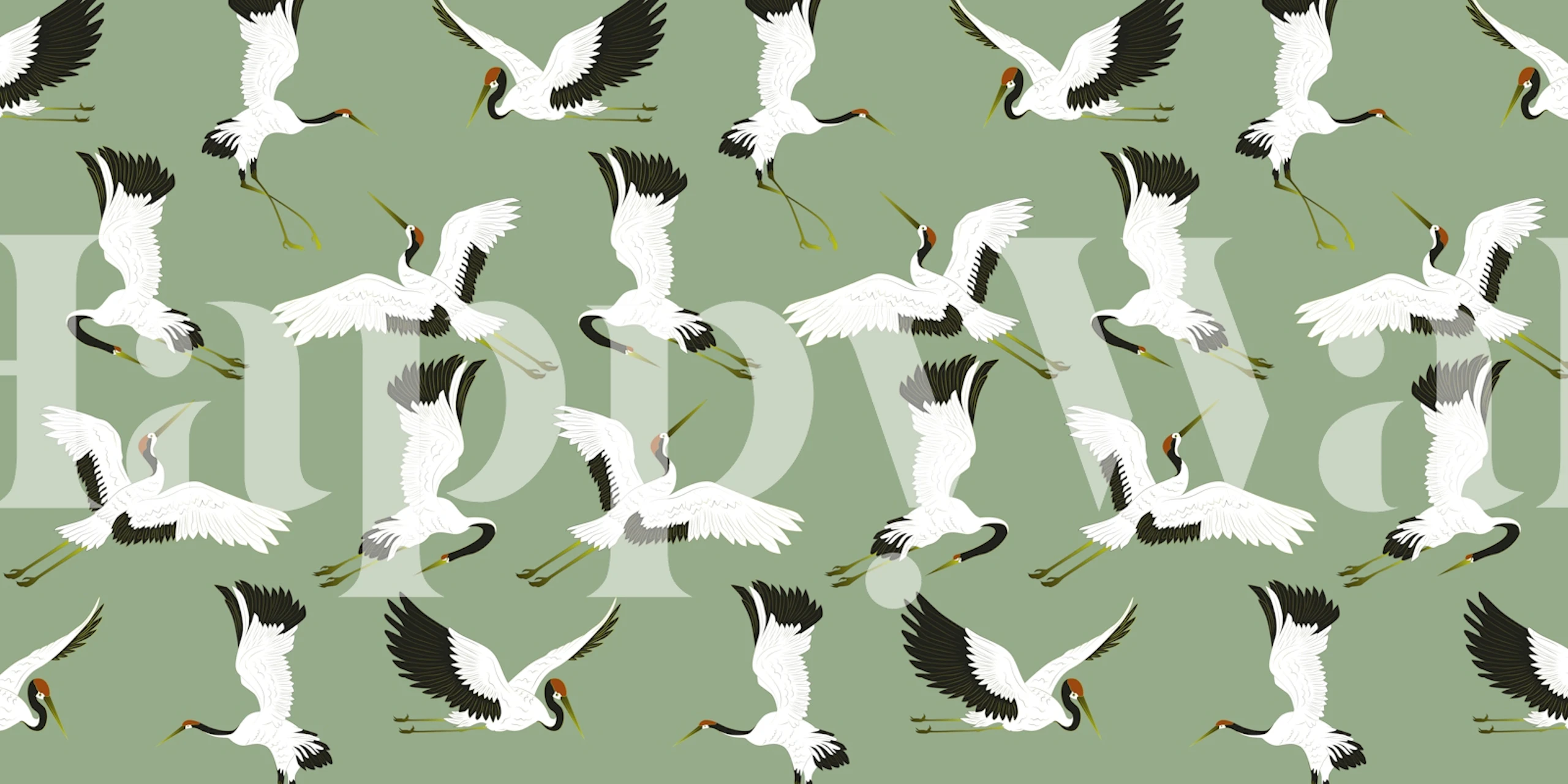 Green Birds wallpaper design in a room