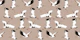 Neutral Bird