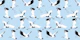 Blue Birds Sky