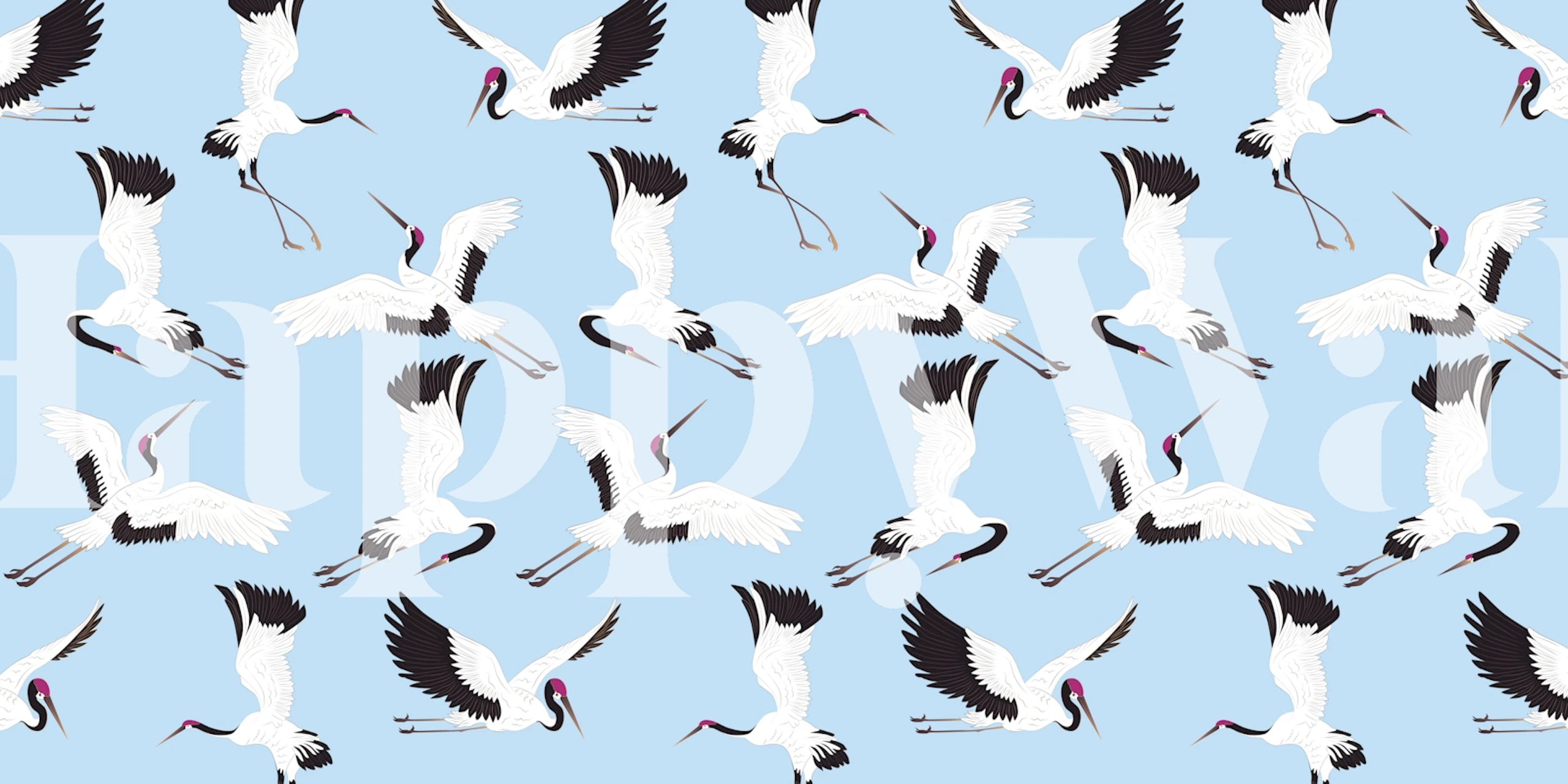 White cranes flying against a blue background wallpaper