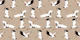 Brown Bird