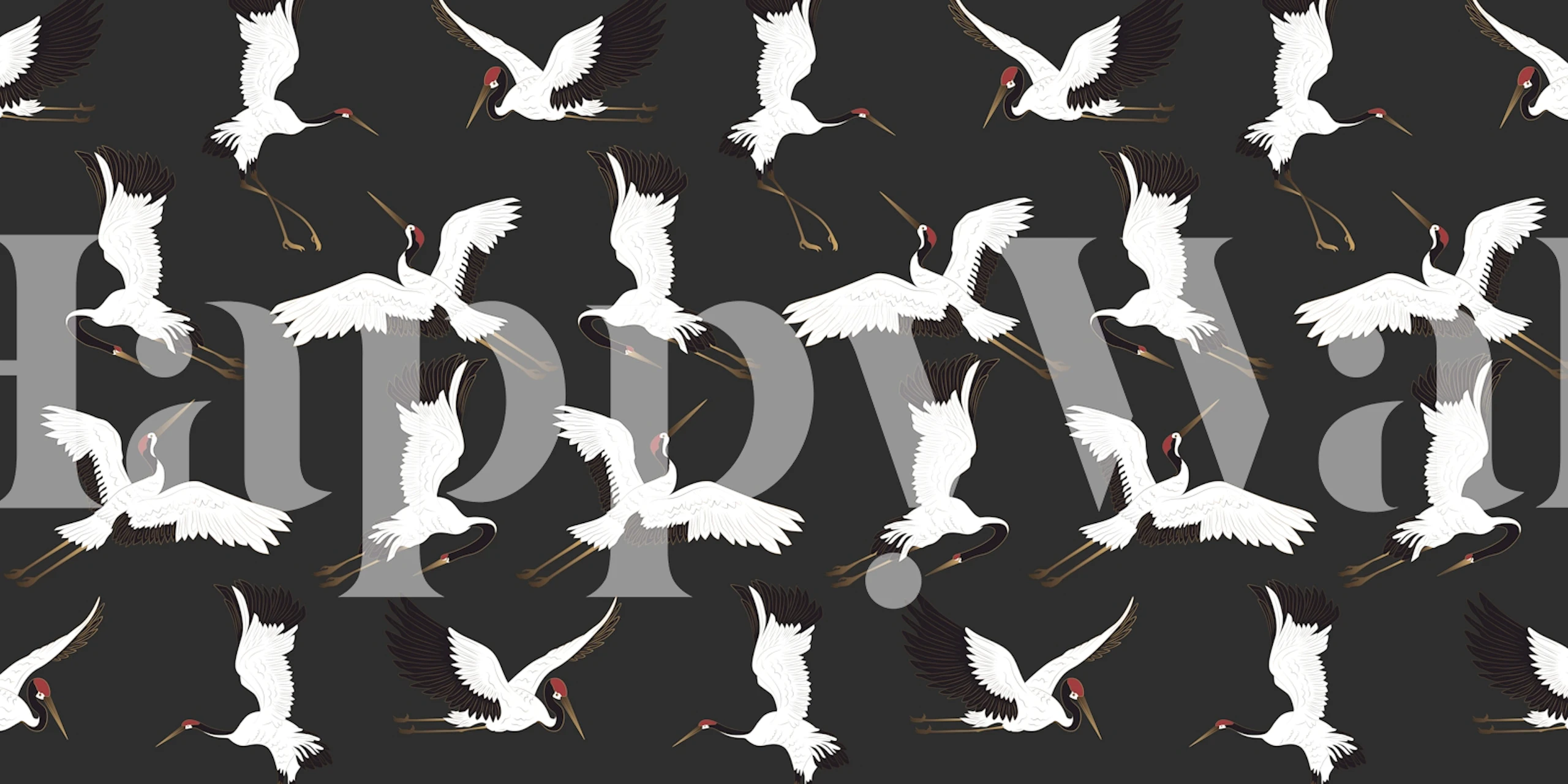White cranes in flight on a black background wallpaper