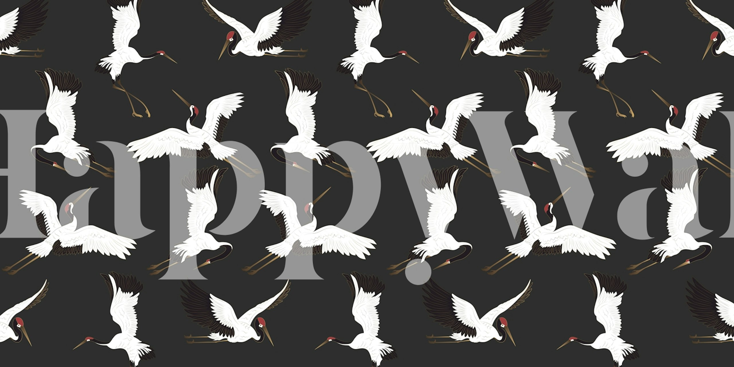 White cranes in flight on a black background wallpaper