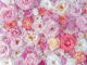Floral Tapestry