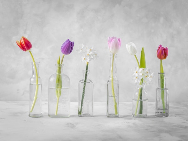 Glass Bottles of Spring