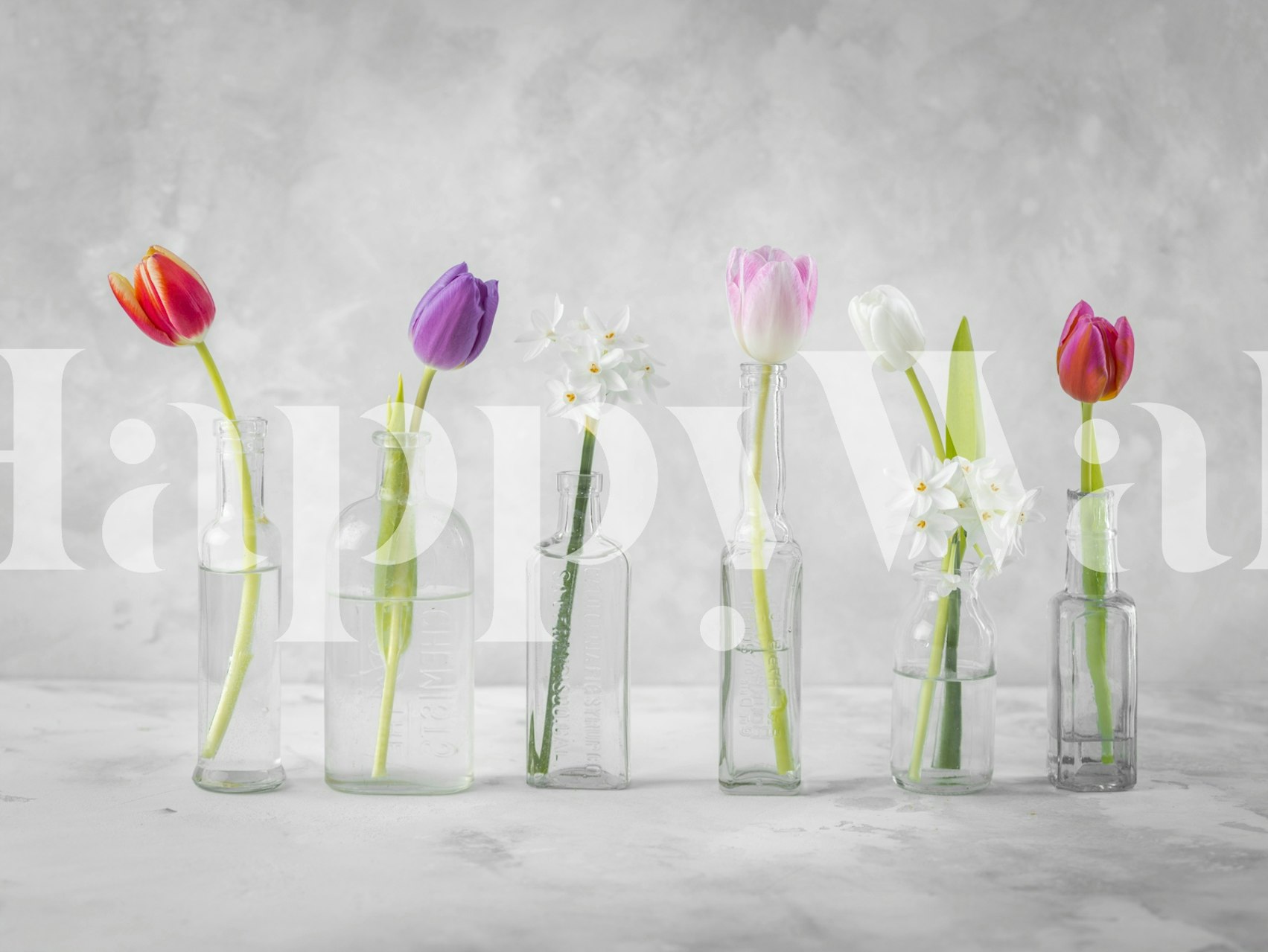 Floral arrangement in glass bottles, colorful tulips and flowers on a light background wallpaper