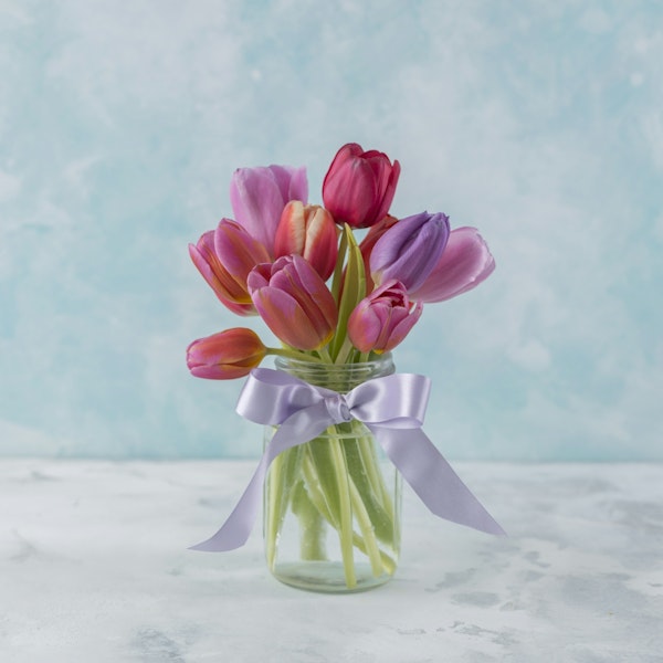 Elegant Tulips