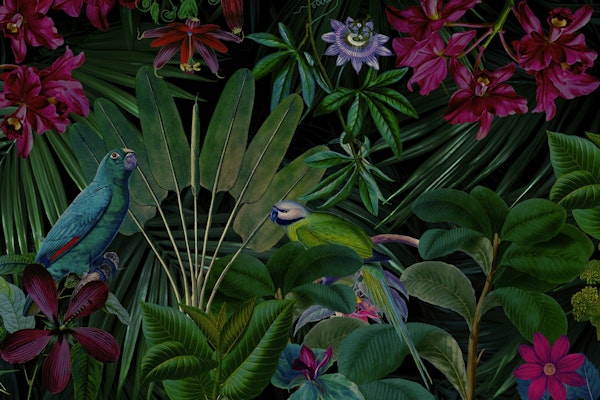 Moody Midnight Jungle Parrot Paradise