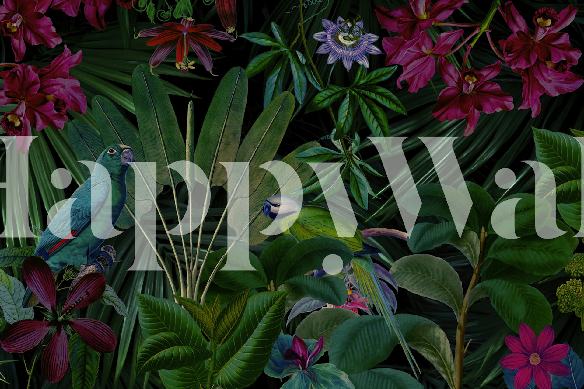 Moody Midnight Jungle Parrot Paradise wallpaper in a room