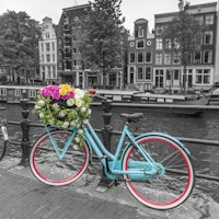 Floral Bicycle of Amsterdam tapete
