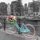 Floral Bicycle of Amsterdam