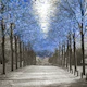 Avenue of Blue Trees