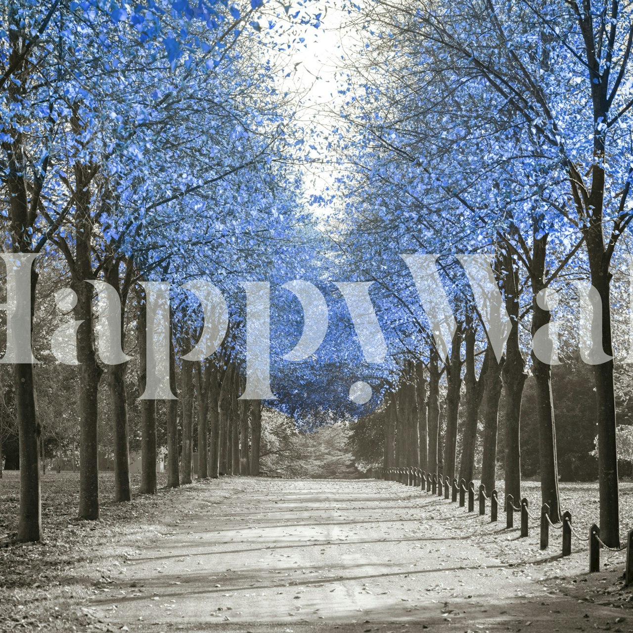 Avenue of blue trees wallpaper in a room