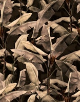 Midnight Vintage Tropical Banana Forest tapete