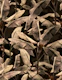 Midnight Vintage Tropical Banana Forest