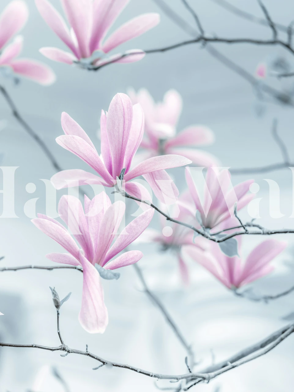 Papel de parede Magnolia Grace em um quarto