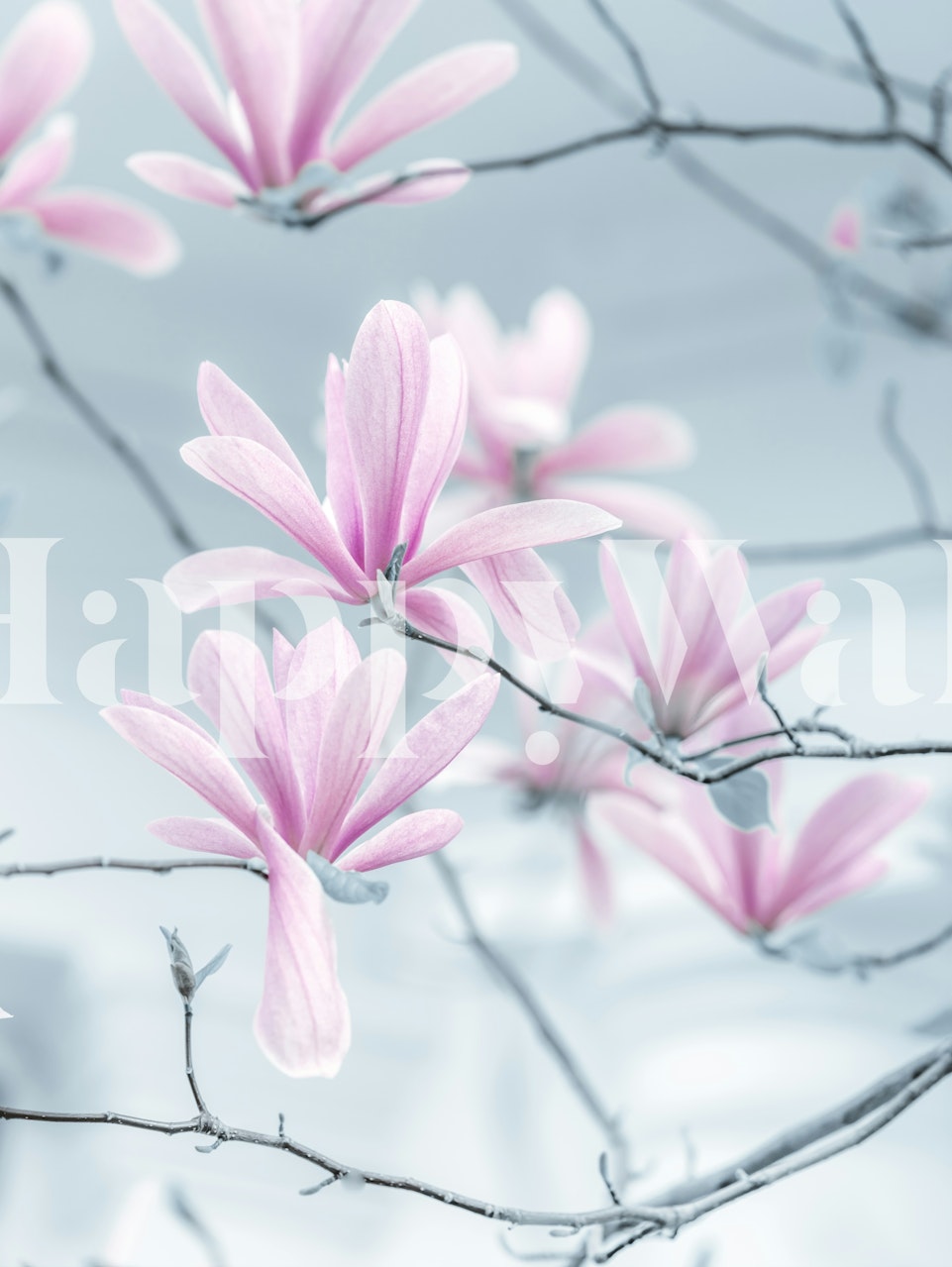 Ταπετσαρία Magnolia Grace σε ένα δωμάτιο