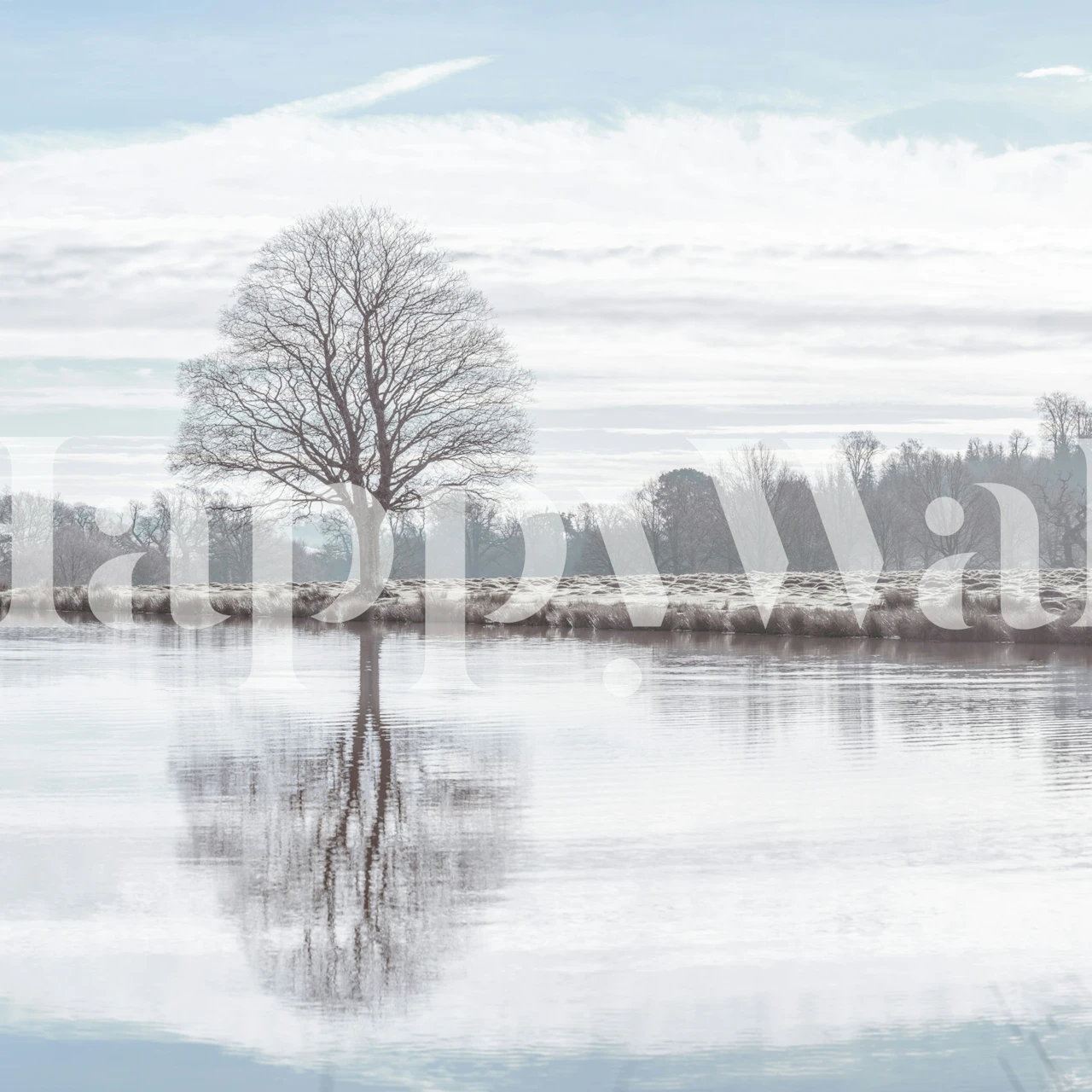 Tree by pond tapet i et rom