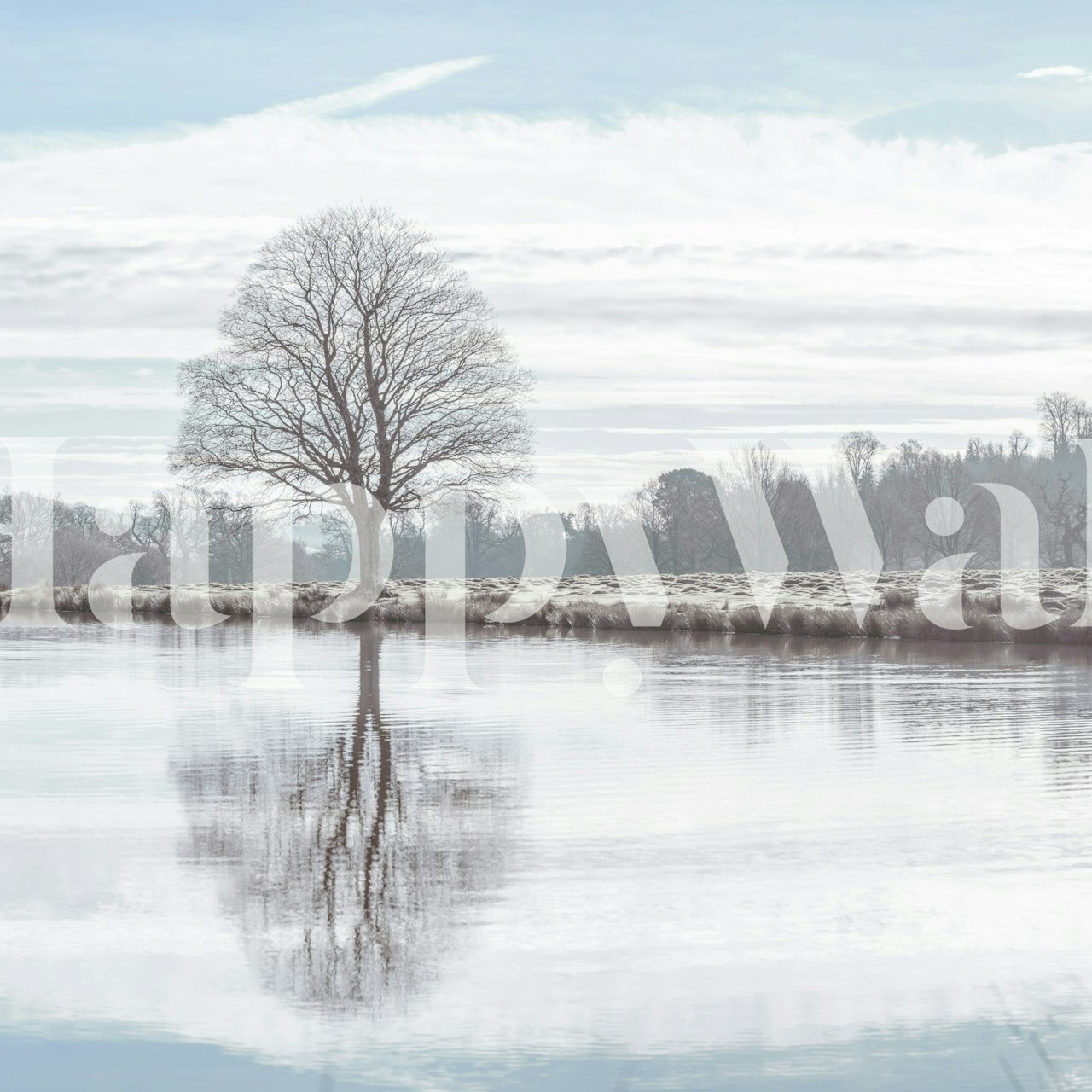 Tree reflection in calm water with light colors wallpaper