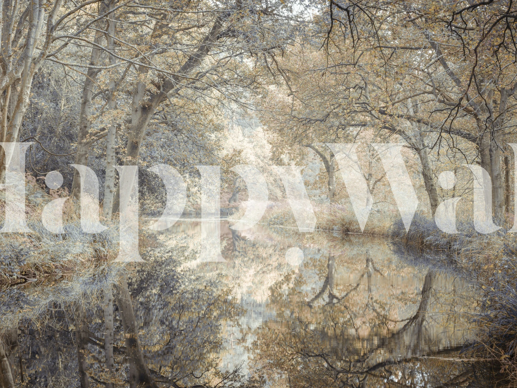 Whispering Waters wallpaper in a room