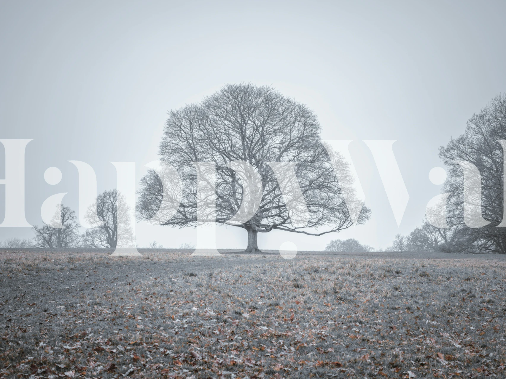 Ethereal Tree tapet i et moderne rum