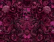 Baroque Goth Flower Skull Snake Opulence