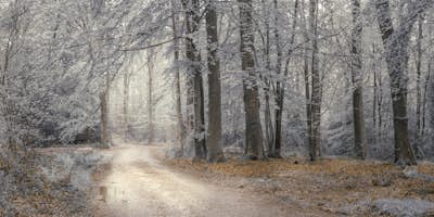 Τοιχογραφία