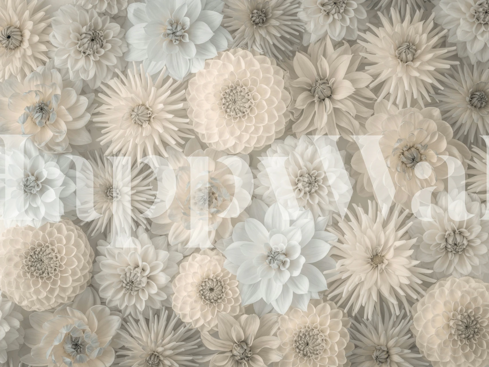 Lush Dahlia Tapestry tapet i et rum