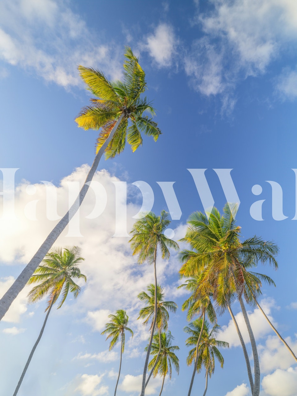 Tapeta Blue Sky and Palms Paradise v místnosti