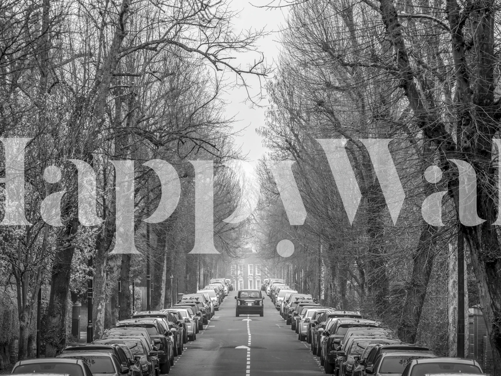 Black and white mural of a London taxi on a tree-lined road with classic elegance.