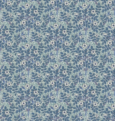 Muster
