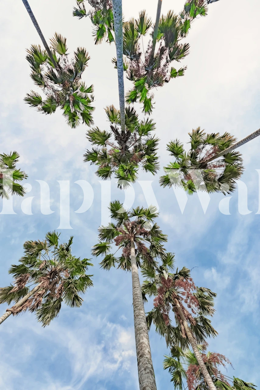 Palm trees on a tropical beach tapetti