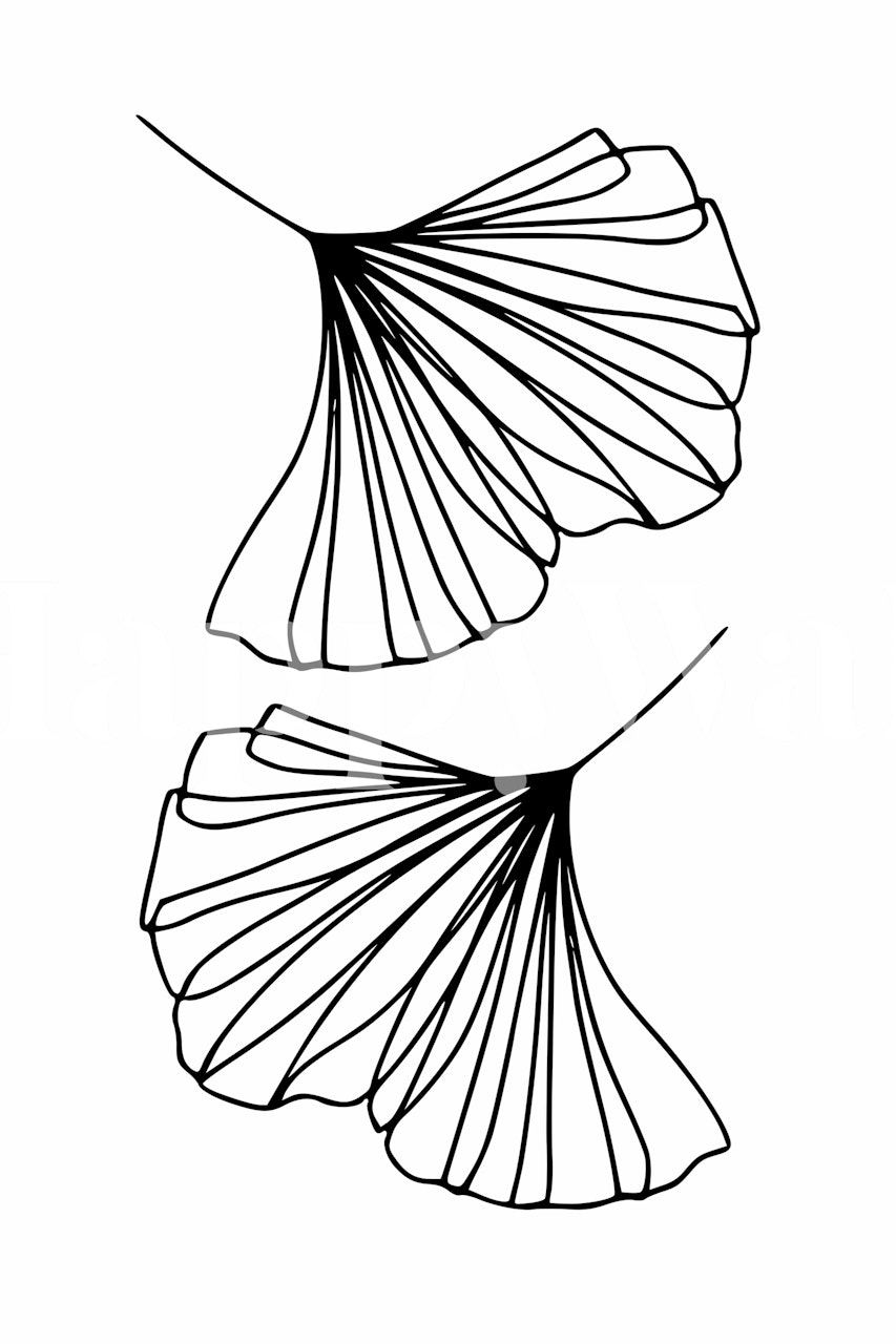 Minimal line art of ginkgo leaves wallpaper
