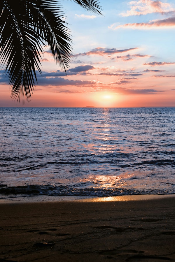 Evening on the beach