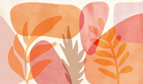 Boho Mid Century Summer Garden