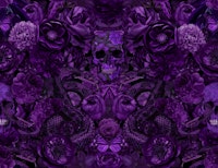 Baroque Flower Skull Snake Opulence Purple tapete