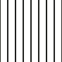 Vertical Stripes black and white tapete