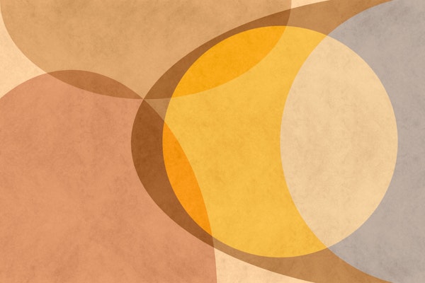 Mid Century Modern Abstract Organic