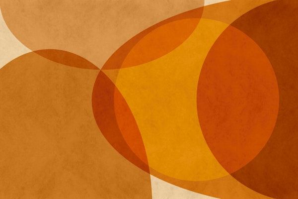 Warm Mid Century Modern Abstract Organic